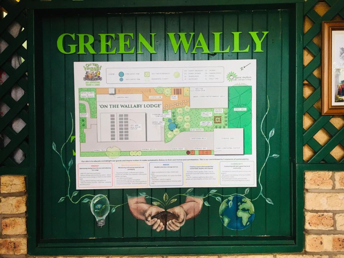 On The Wallaby Eco Lodge ยังกาเบอร์รา ภายนอก รูปภาพ