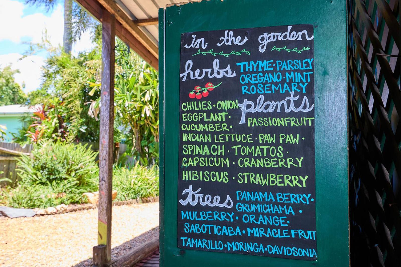 On The Wallaby Eco Lodge ยังกาเบอร์รา ภายนอก รูปภาพ