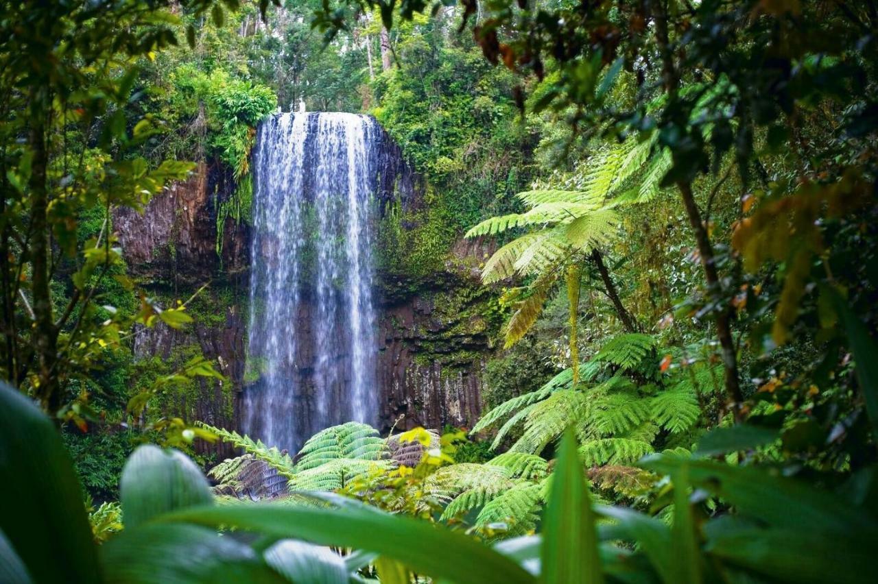 On The Wallaby Eco Lodge ยังกาเบอร์รา ภายนอก รูปภาพ